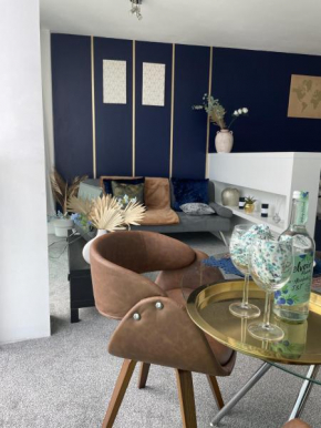 Luxury City Apartment